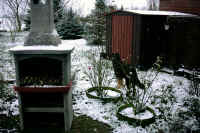 Schnee in meinem neuen Zuhause